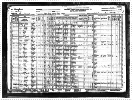 Waitkus 1930 Census